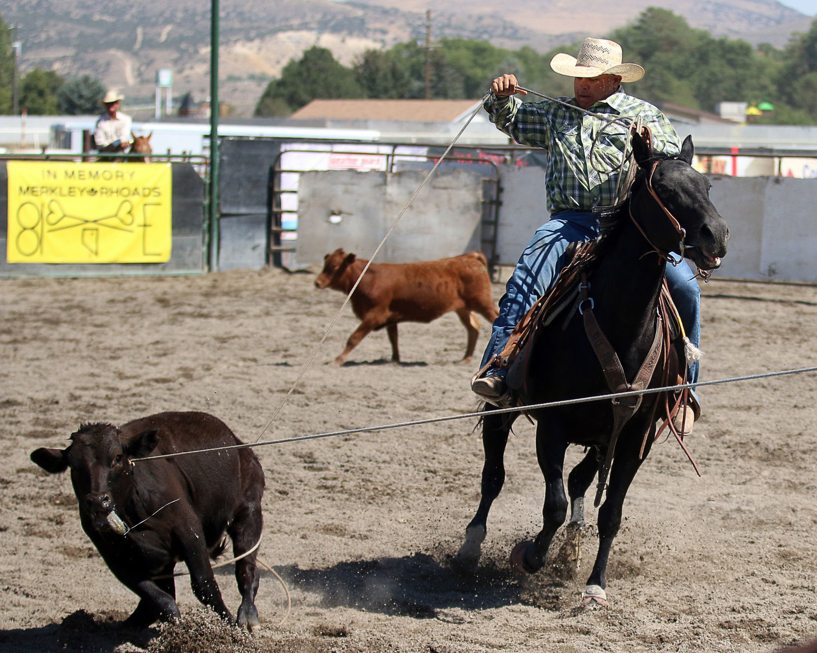 2018 Elko County Fair Open Branding Finals (16).JPG